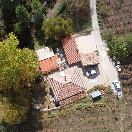 Maison d'hôtes La Limonera à Riópar Extérieur photo