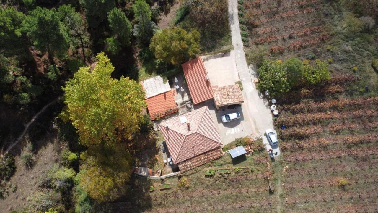 Maison d'hôtes La Limonera à Riópar Extérieur photo