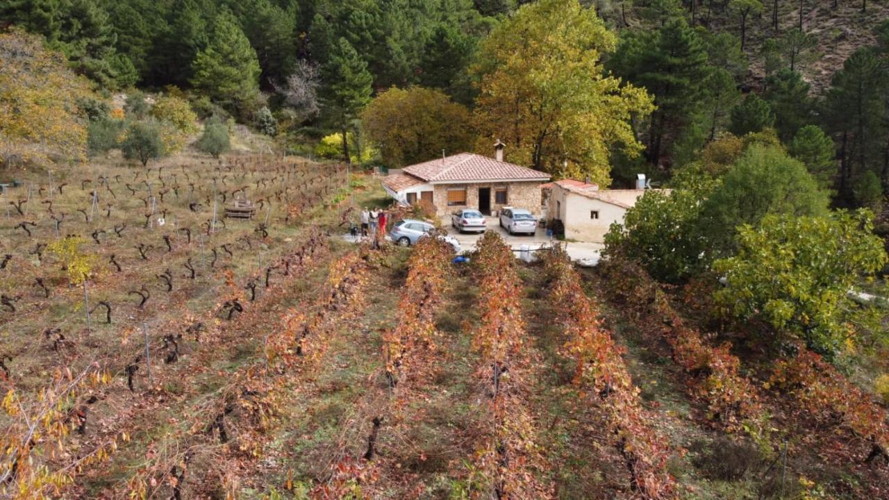Maison d'hôtes La Limonera à Riópar Extérieur photo